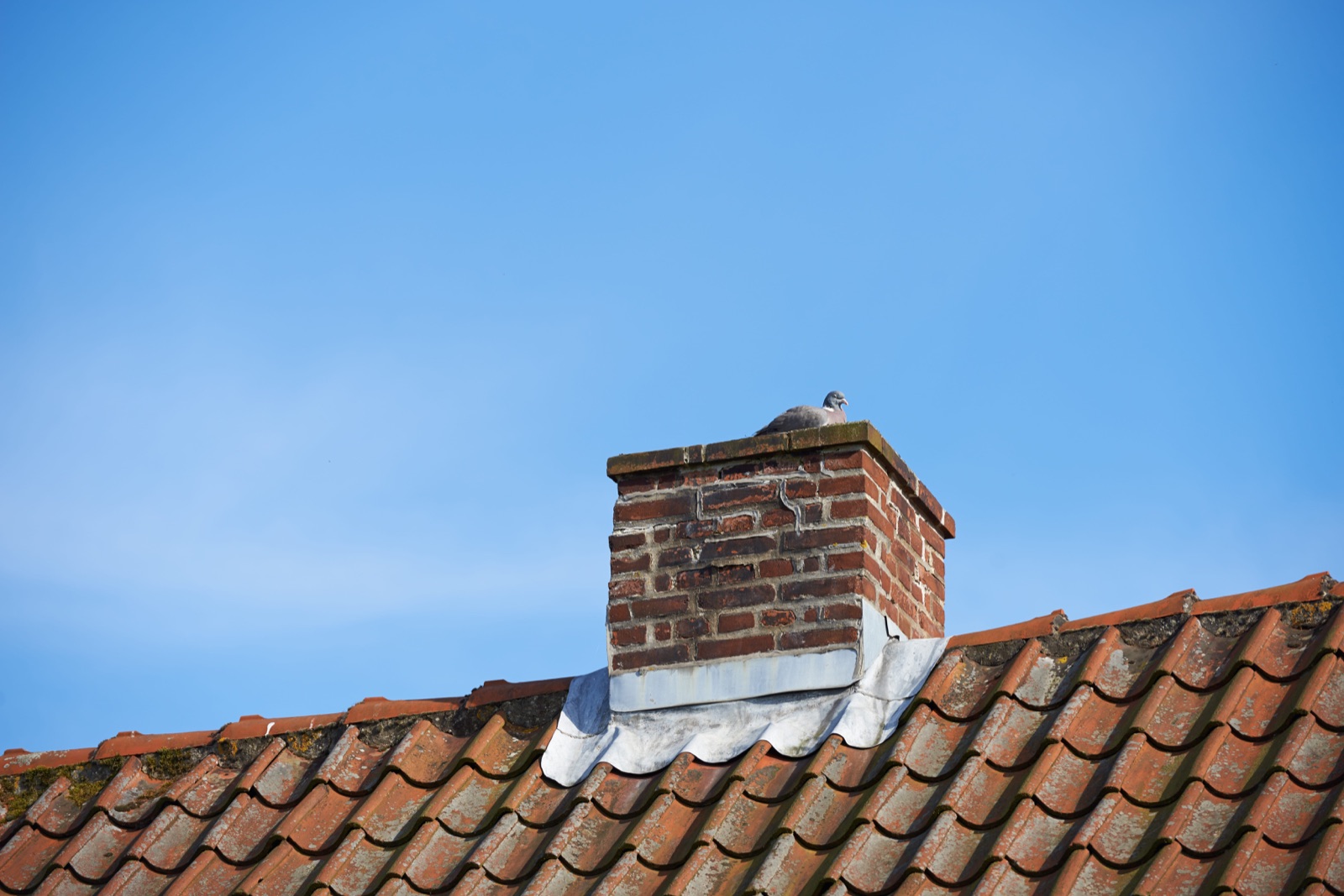 Pigeon perched on top of a brick chimney on a tiled roof